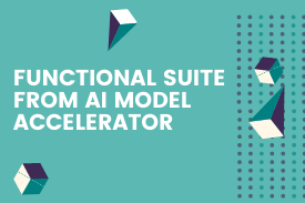 Functional Suite from AI Model Accelerator